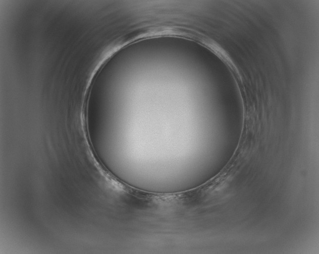 X0000060260813200511241426