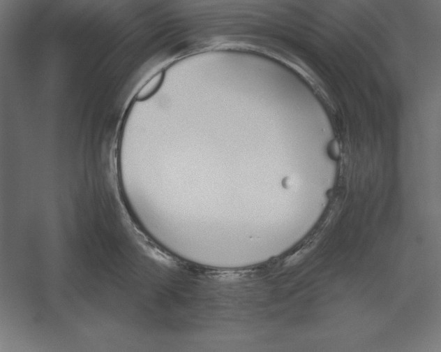 X0000060260814200511241426