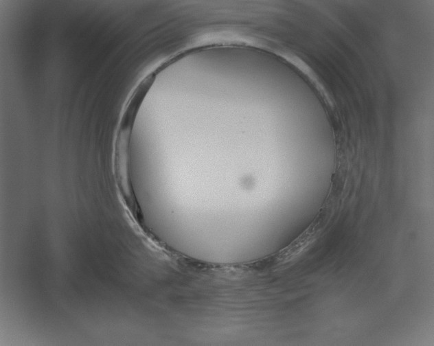 X0000060260815200511241426