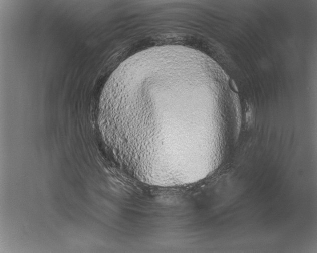 X0000060260819200511241425