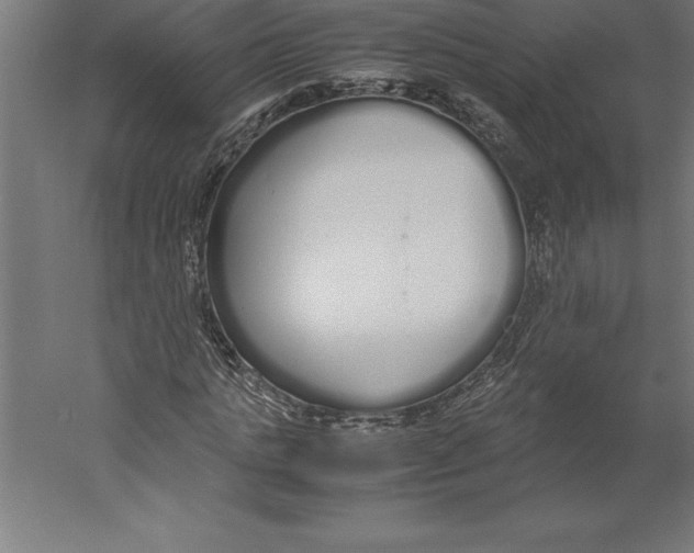 X0000060260821200511241425