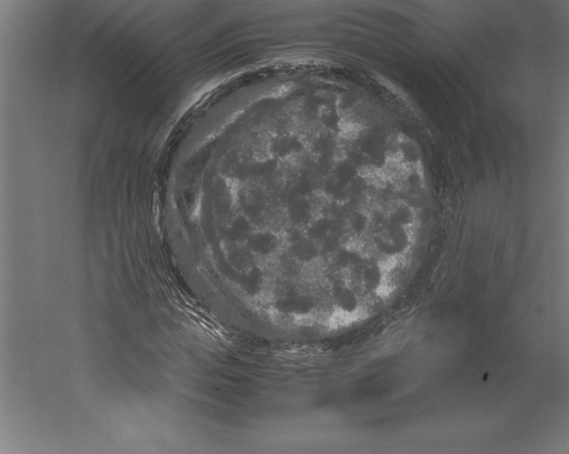 X0000060260823200511241425