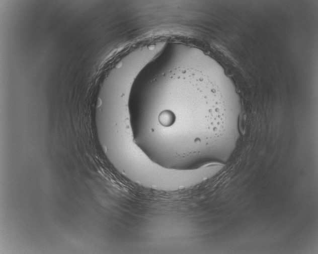 X0000060260824200511241425