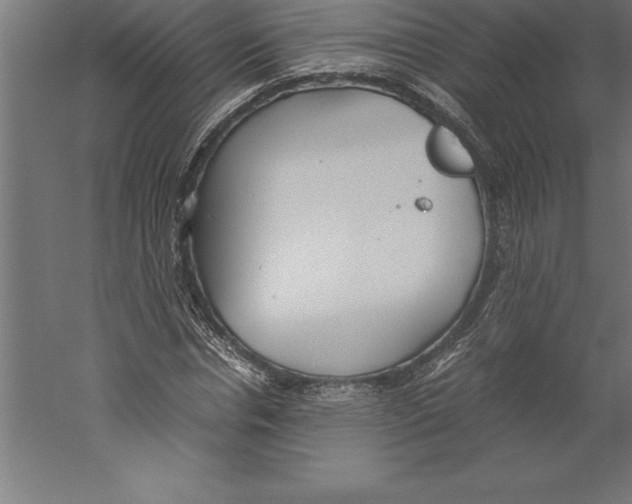 X0000060260826200511241425