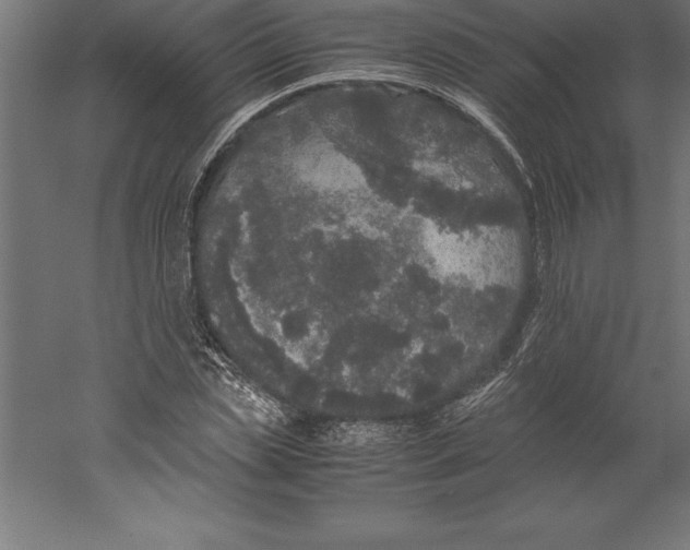 X0000060260829200511241425