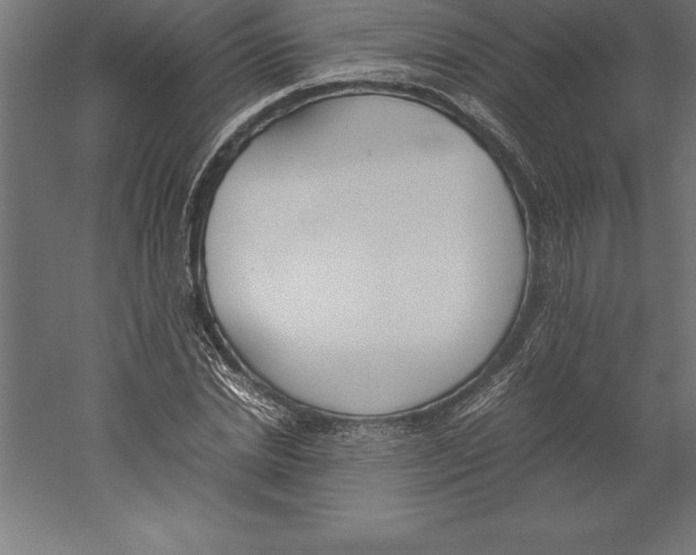 X0000060260830200511241425