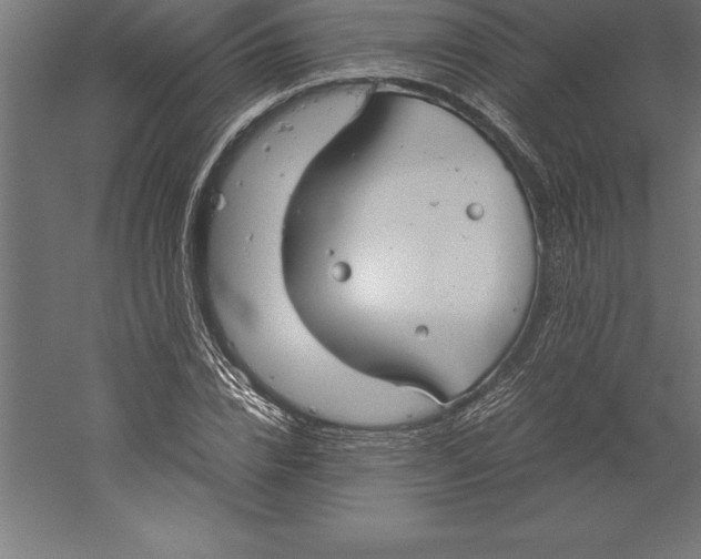 X0000060260832200511241425