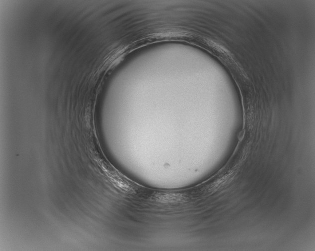 X0000060260833200511241425