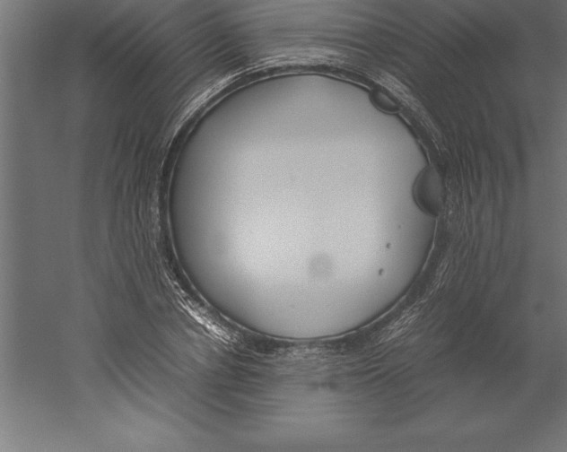 X0000060260834200511241425