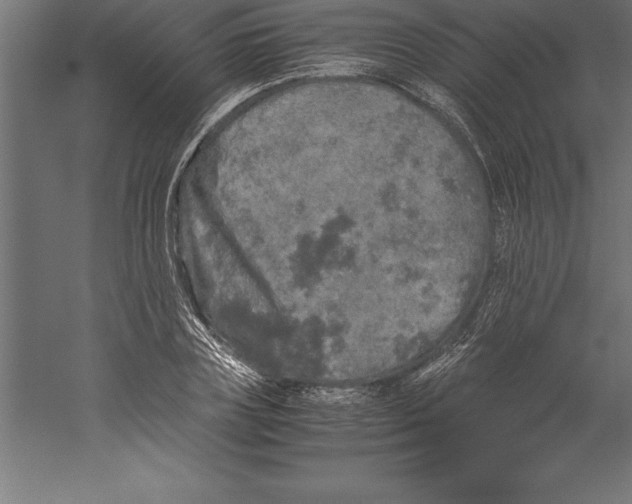 X0000060260835200511241425