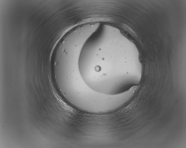 X0000060260836200511241425