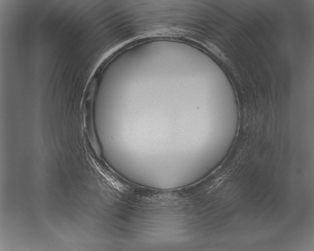 X0000060260838200511241425