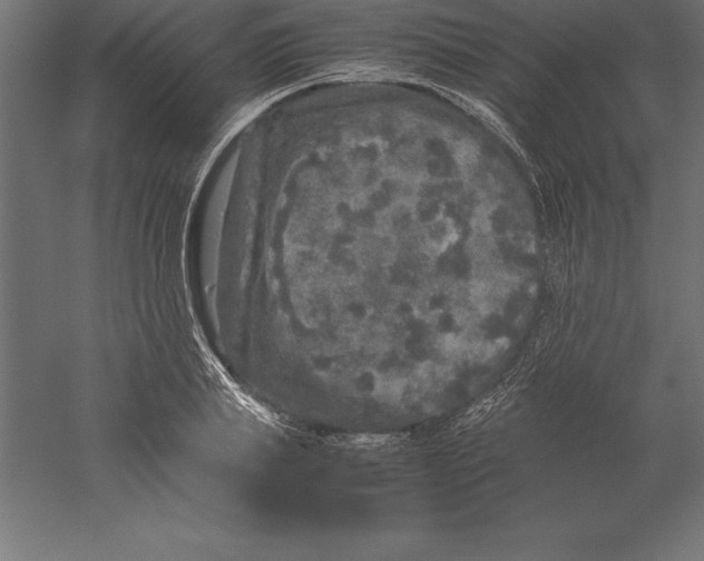 X0000060260839200511241425