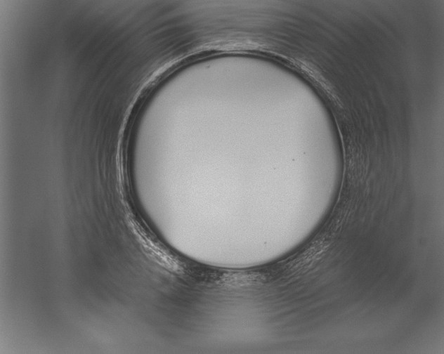 X0000060260840200511241425