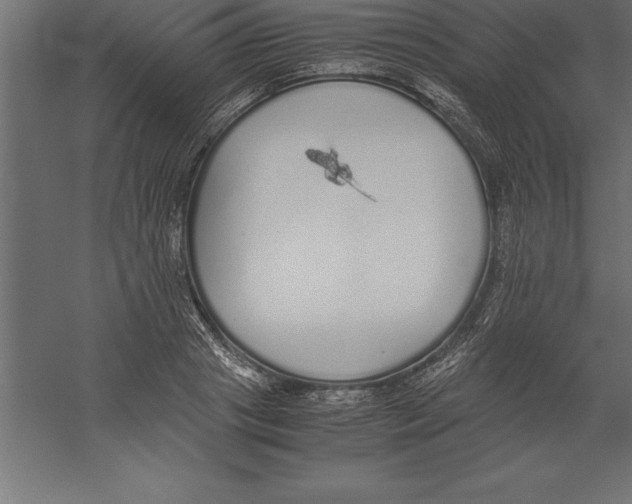 X0000060260841200511241425