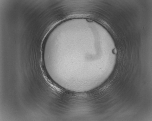 X0000060260844200511241425