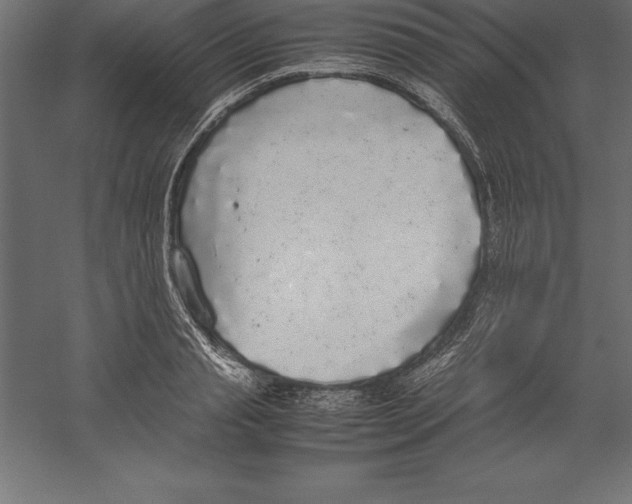 X0000060260845200511241425