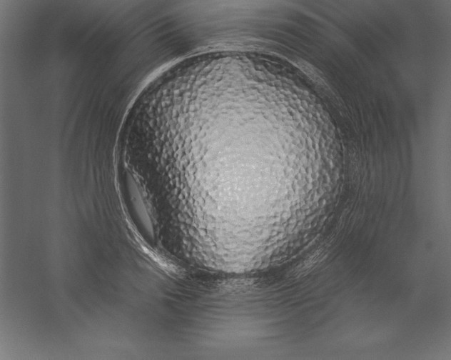 X0000060260846200511241425