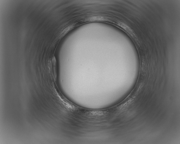 X0000060260849200511241425