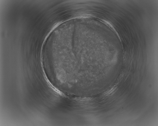 X0000060260851200511241425