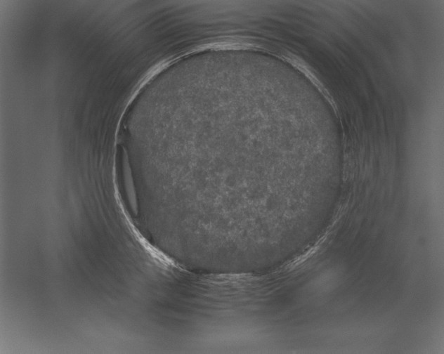 X0000060260853200511241425