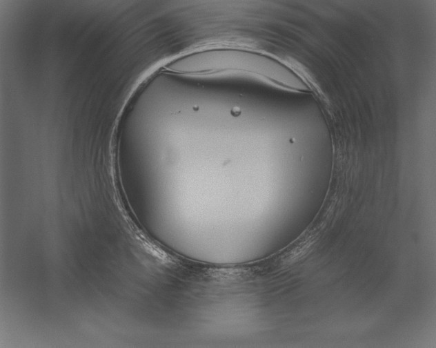 X0000060260854200511241425