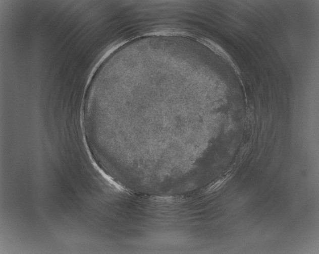 X0000060260855200511241425