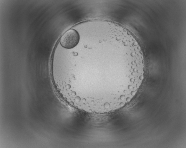 X0000060260856200511241425