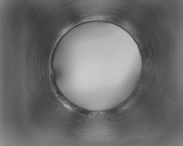 X0000060260858200511241425