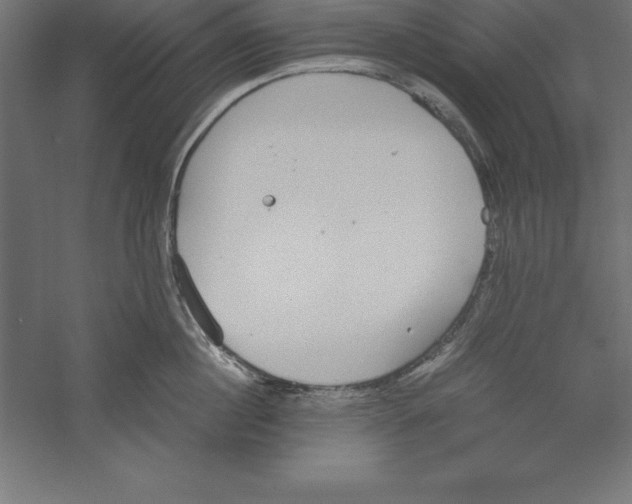 X0000060260860200511241426