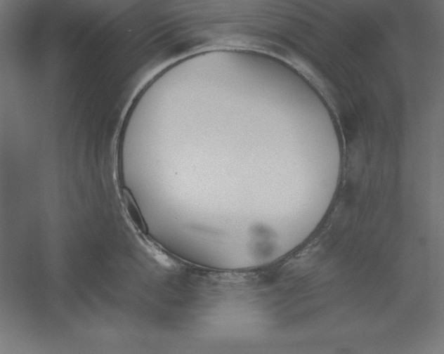 X0000060260862200511241426