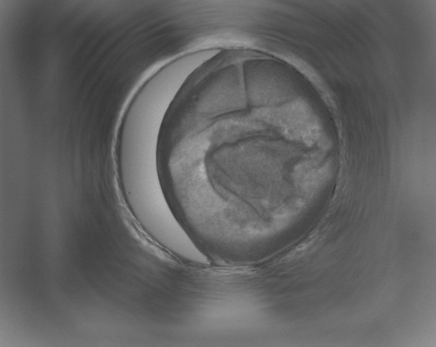 X0000060260864200511241426