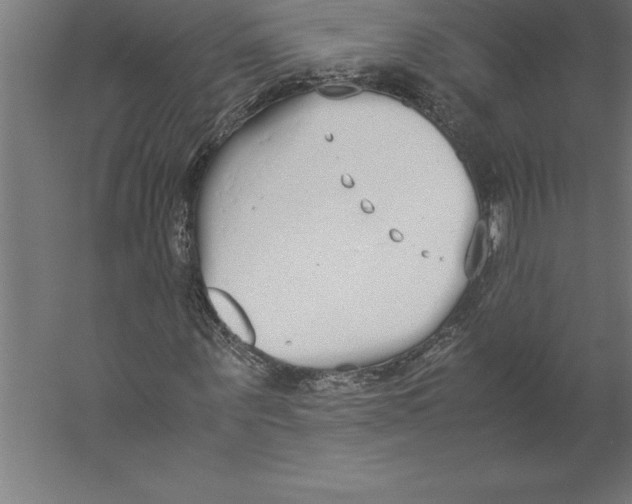 X0000060260867200511241425