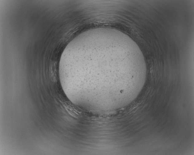 X0000060260868200511241425