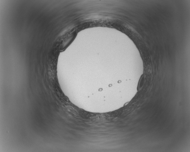 X0000060260869200511241425