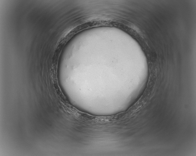 X0000060260871200511241425