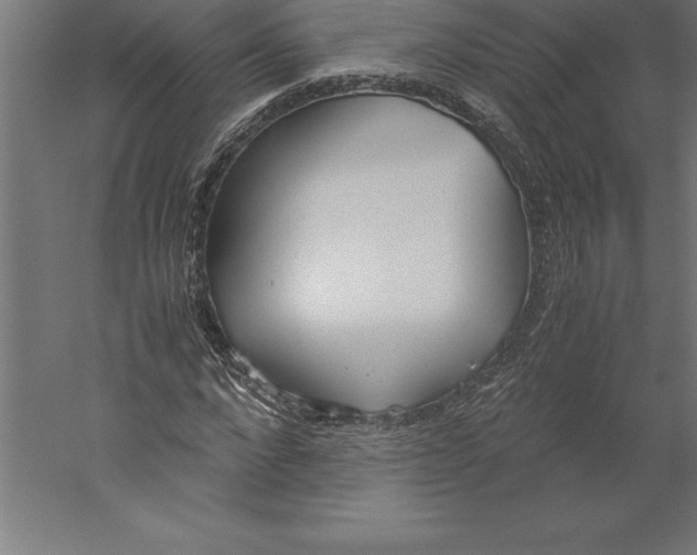 X0000060260872200511241425