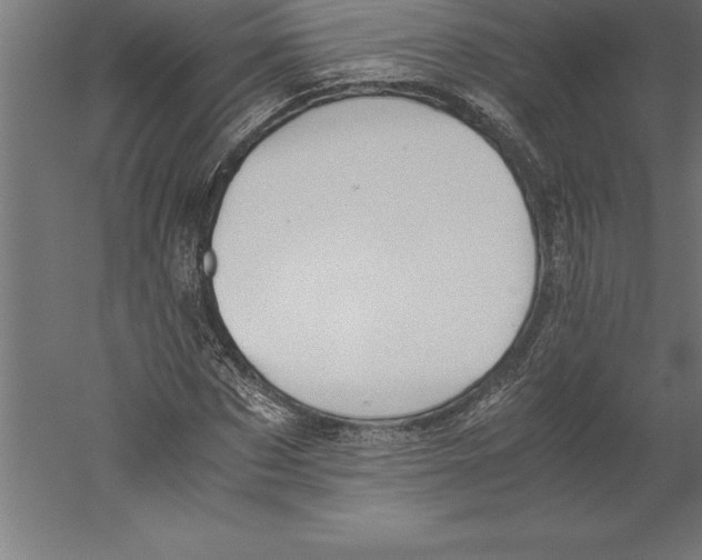 X0000060260873200511241425