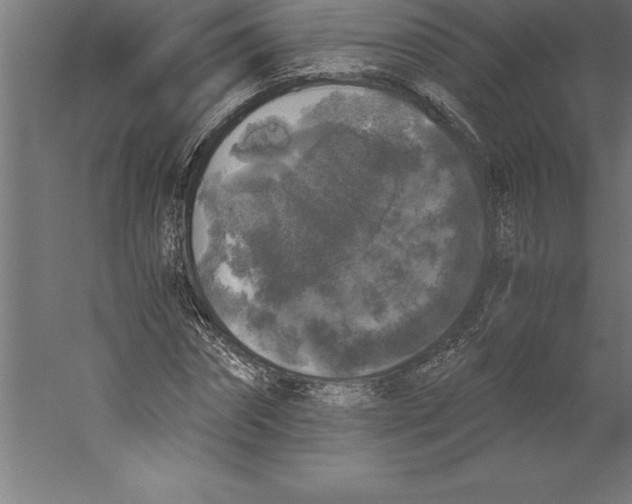 X0000060260874200511241425