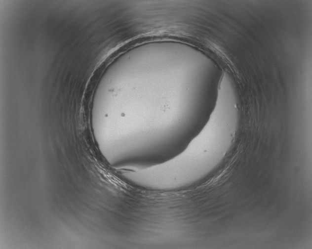 X0000060260876200511241425