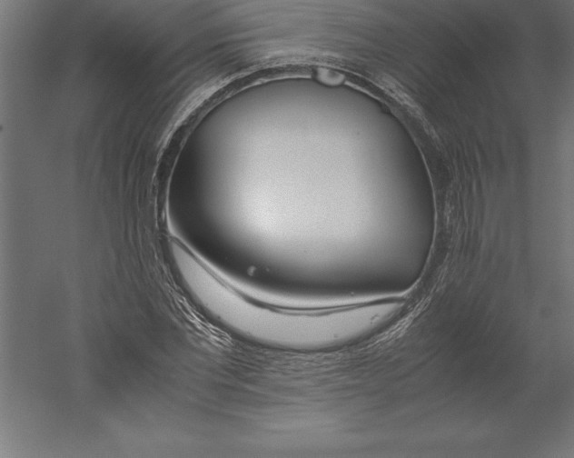 X0000060260877200511241425