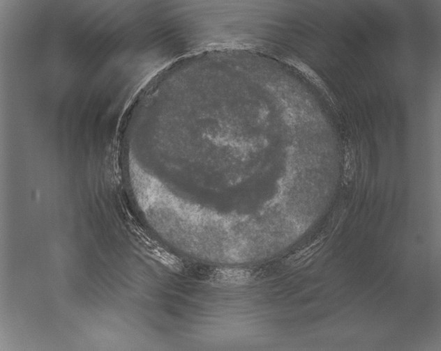 X0000060260878200511241425