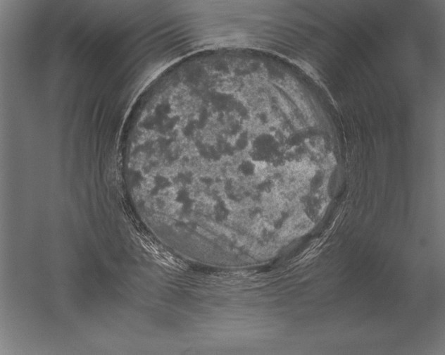 X0000060260879200511241425