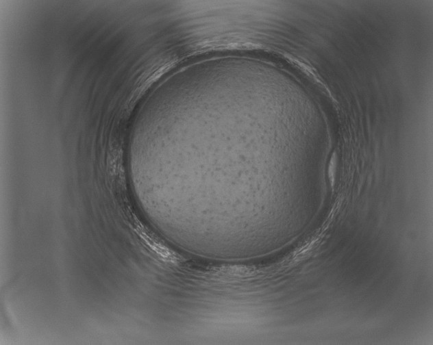 X0000060260881200511241424