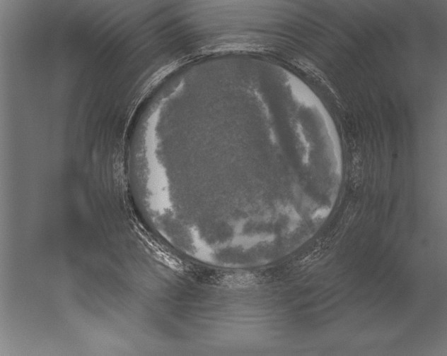 X0000060260882200511241424