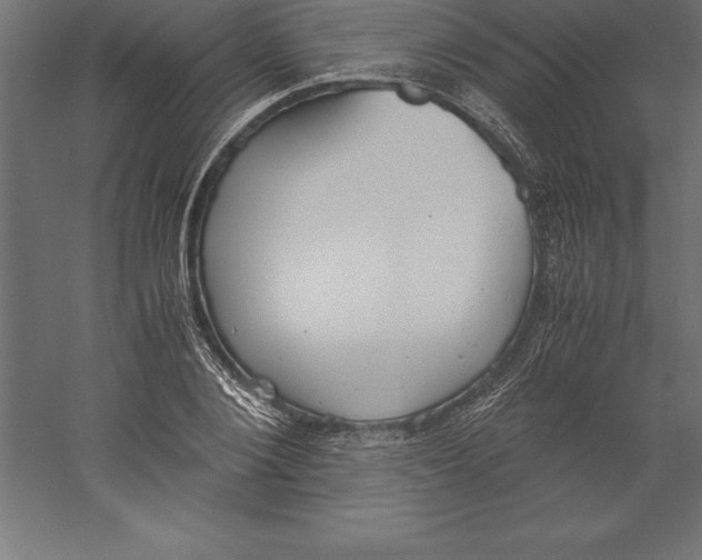 X0000060260884200511241424