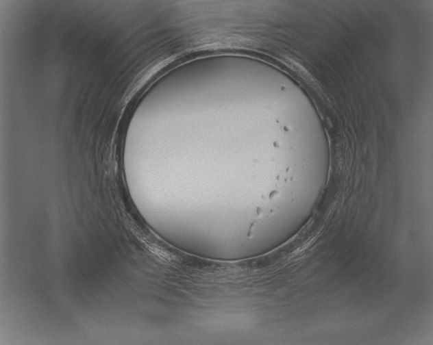 X0000060260885200511241424