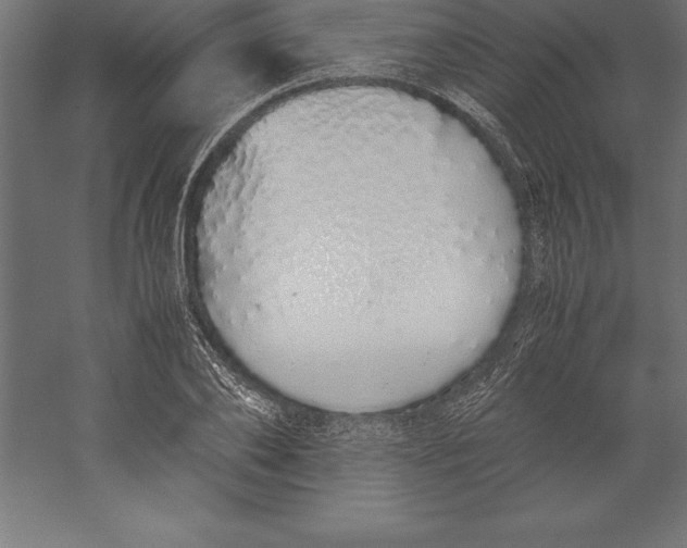 X0000060260886200511241424