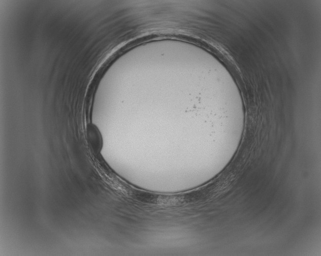 X0000060260887200511241424