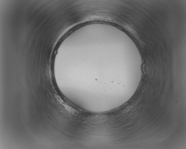 X0000060260888200511241424